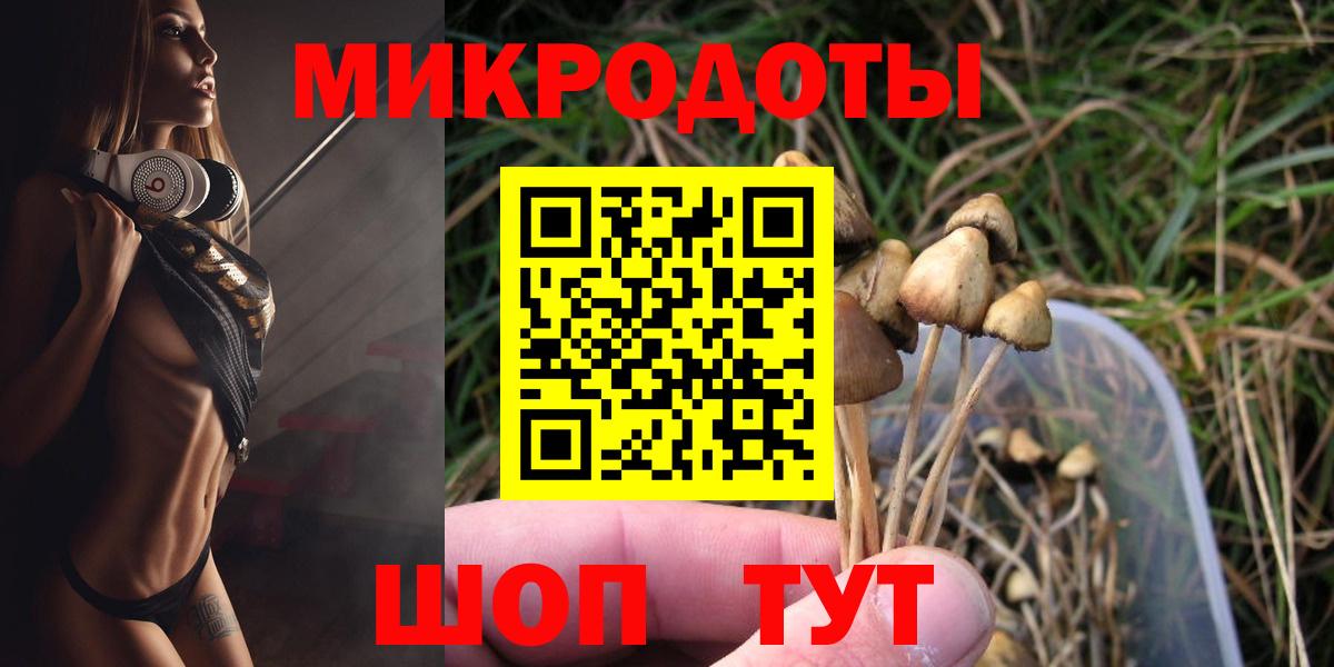 А ПВП Сургут