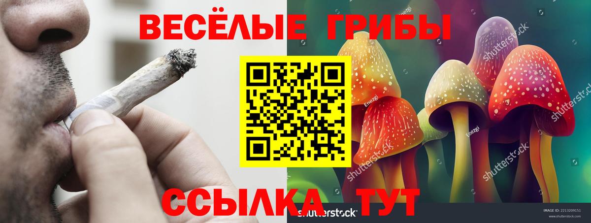Галлюциногенные грибы мухоморы Сургут